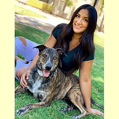 Pet Picture